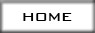 vai alla pagina home